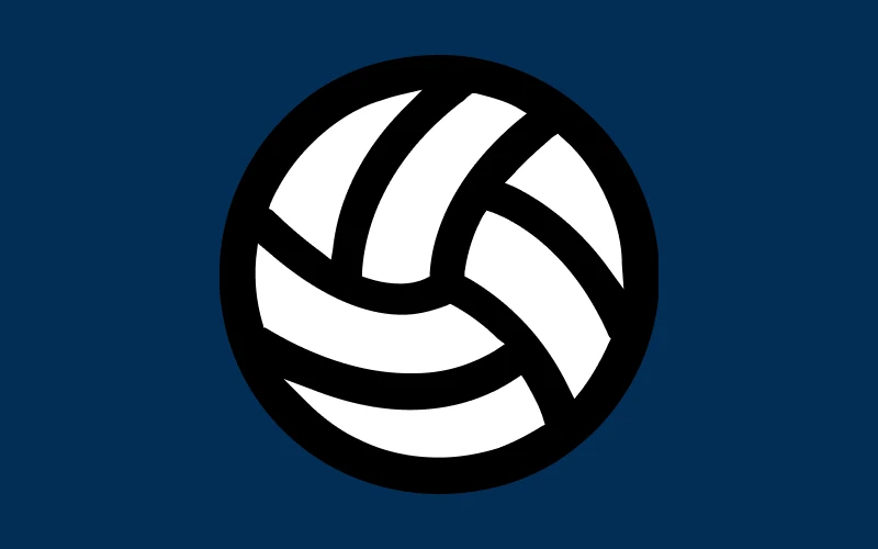 Place your bets on volleyball matches at Mostbet website.